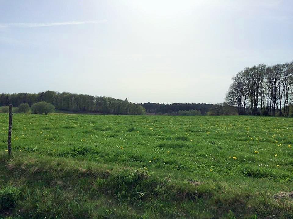 Auberge De Saint Julien Aux Bois Eksteriør billede