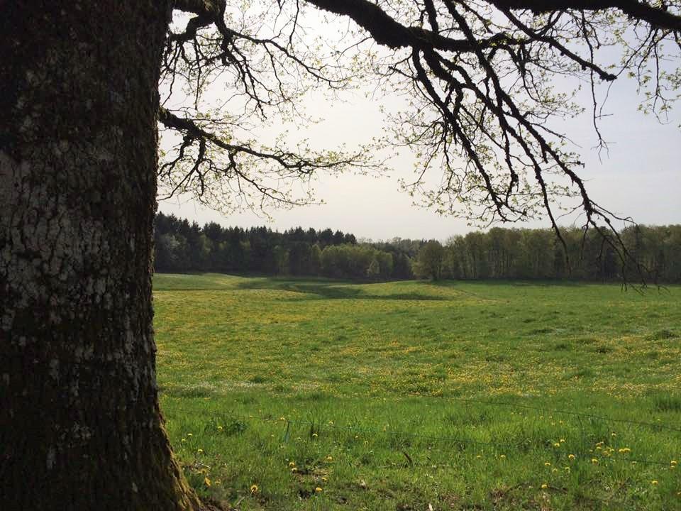 Auberge De Saint Julien Aux Bois Eksteriør billede